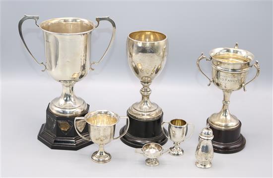 5 various silver trophy cups and a pepperette